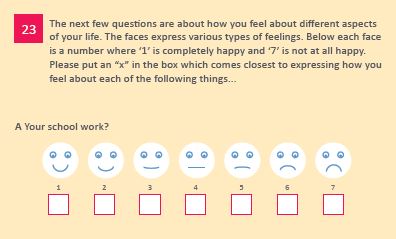 Young person's questionnaire